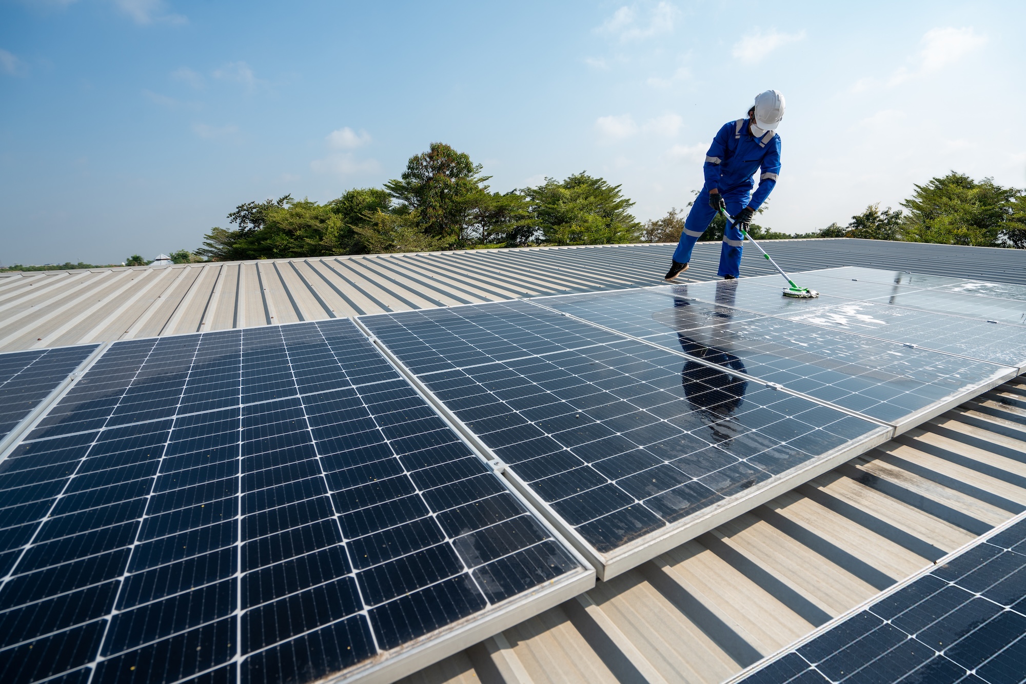 Technician Using A Mop And Water To Clean The Solar Panels That Are Dirty With Dust And Birds' Droppings To Improve The Efficiency Of Solar Energy Storage.